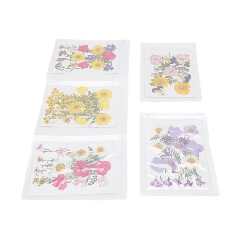 Pressed Dried Flowers Set Type 5 For Scrapbooking Phone Cases Resin Art - Image 4