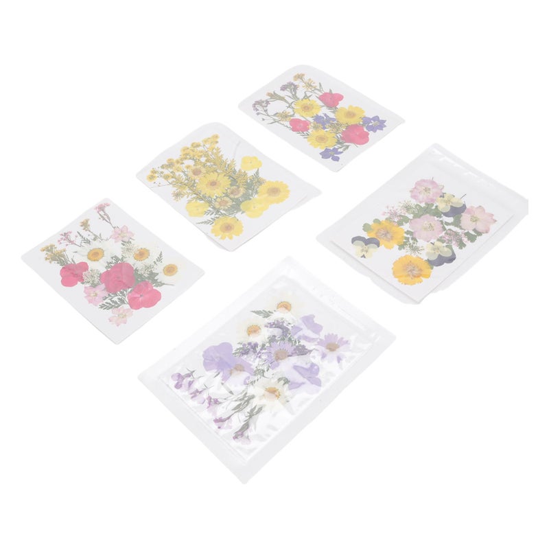 Pressed Dried Flowers Set Type 5 For Scrapbooking Phone Cases Resin Art - Image 3