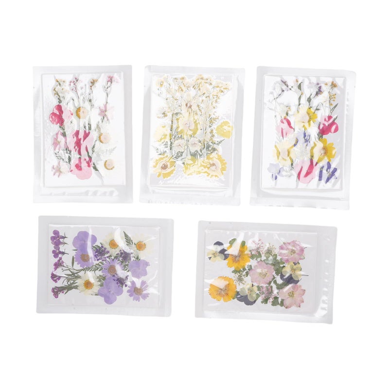 Pressed Dried Flowers Set Type 5 For Scrapbooking Phone Cases Resin Art - Image 2