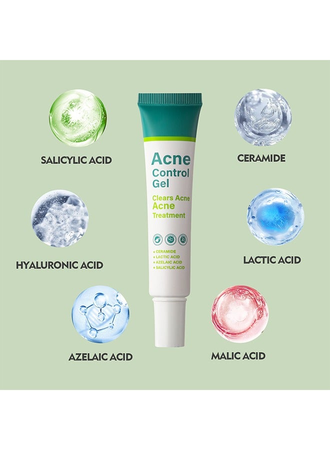 Acne Control Gel-Salicylic Acid Remove Acne Gel Lighten Acne Marks Remove Acne Shrink Pores Plant Essence - Fast Acne Removal in 12 Hours to See Results