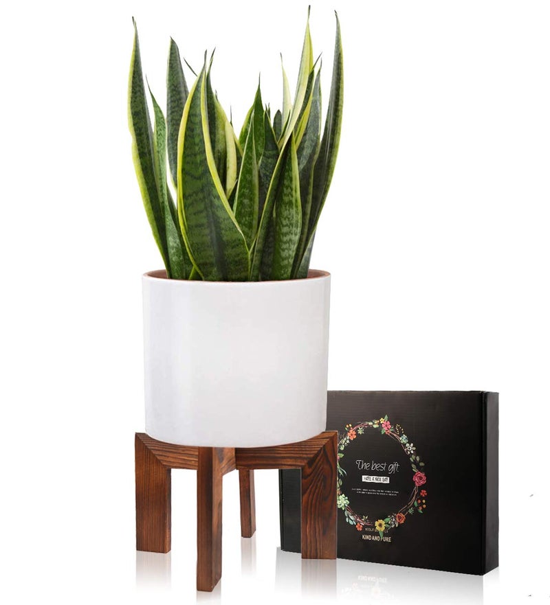 Gendral Forwepup Wood Plant Stand, Mid Century Modern Planter, Rattan Flower Pot Stand, Low Short Plant Stands for Indoor - Boho Rustic Wooden Stool for Plant Pot Holder, Fit 5-15 Inch Pot - Image 2
