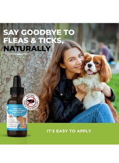 Buddy Spot On Flea and Tick Protection for Dogs Natural Formula with Essential Oils Helps Maintain a Flea Free Coat Long Lasting Easy to Use Solution 50ml  - Image 4