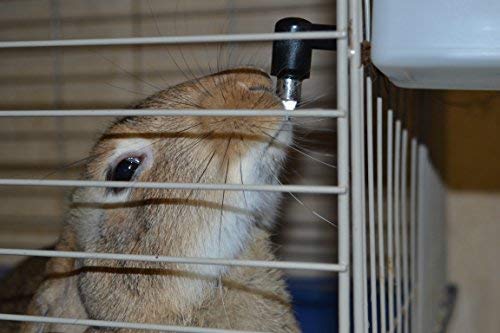 RentACoop 32oz(1L) Small Animal Drinker with No-Drip Brass Nozzle - Suitable for Small Pets, Bunnies, Hamsters, Guinea Pigs, Rabbits, Chinchillas, Mice and Rats - Image 5