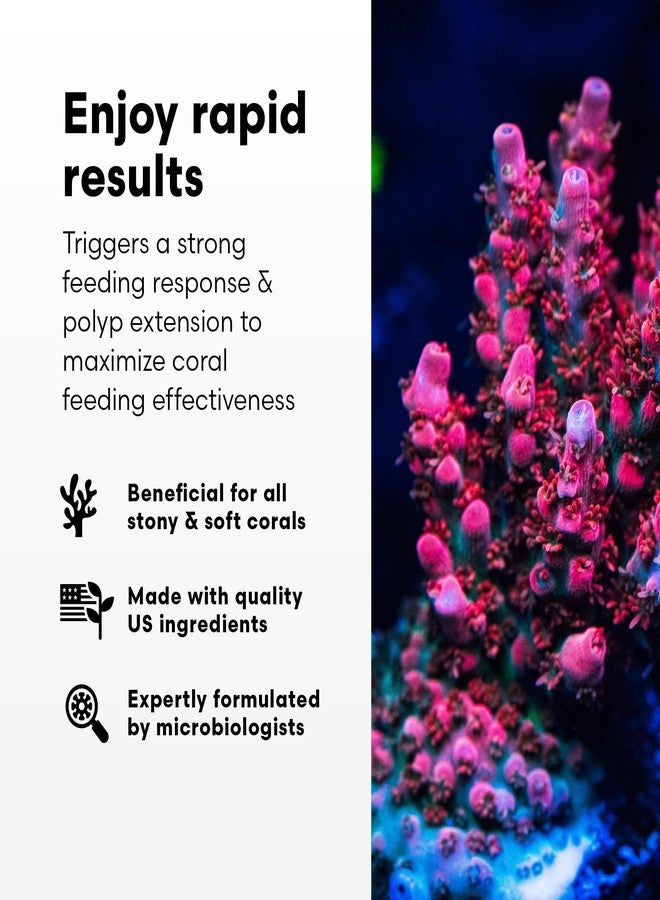 Brightwell Aquatics Polyp Ignite - Polyp Stimulator to Trigger Feeding Response - Polyp Extension for Easier Feeding - Aquarium Water Treatments, 60 ml - Image 2