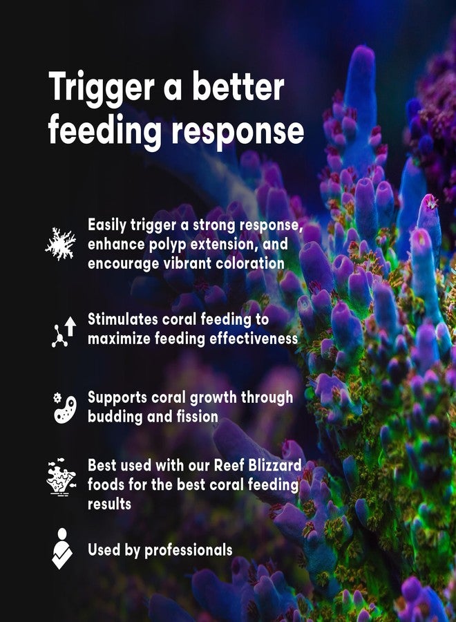 Brightwell Aquatics Polyp Ignite - Polyp Stimulator to Trigger Feeding Response - Polyp Extension for Easier Feeding - Aquarium Water Treatments, 60 ml - Image 3