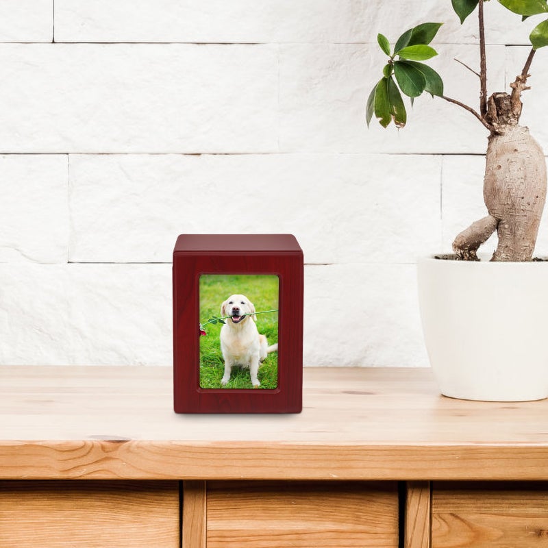 Dog Cremation Ashes Cinerary Casket Pet Bone Ashes Container Memorial Urn - Image 5