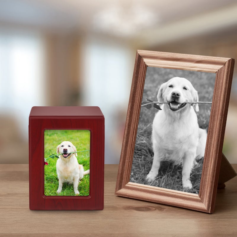 Dog Cremation Ashes Cinerary Casket Pet Bone Ashes Container Memorial Urn - Image 4