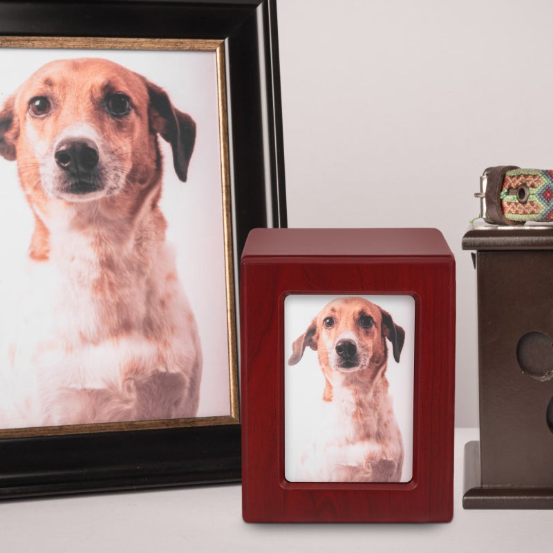 Dog Cremation Ashes Cinerary Casket Pet Bone Ashes Container Memorial Urn - Image 2