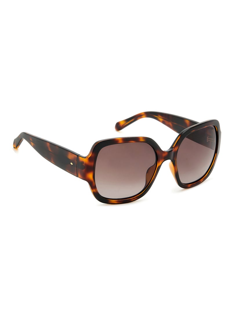 FOSSIL SQUARE Sunglasses - pzsku/ZE9DC90BF221A6633186BZ/45/_/1721200670/f7ffabb9-2186-41e3-adda-56739e0bbdc2