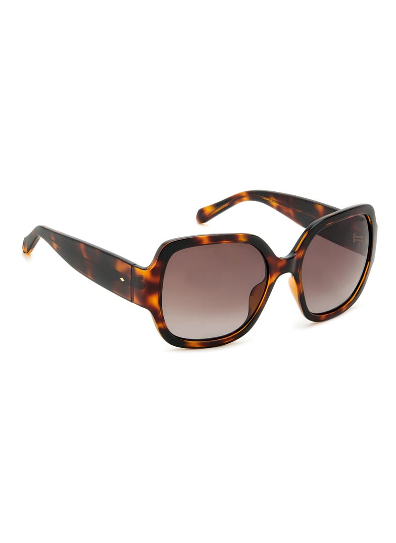 FOSSIL FOSSIL SQUARE Sunglasses  - Image 2