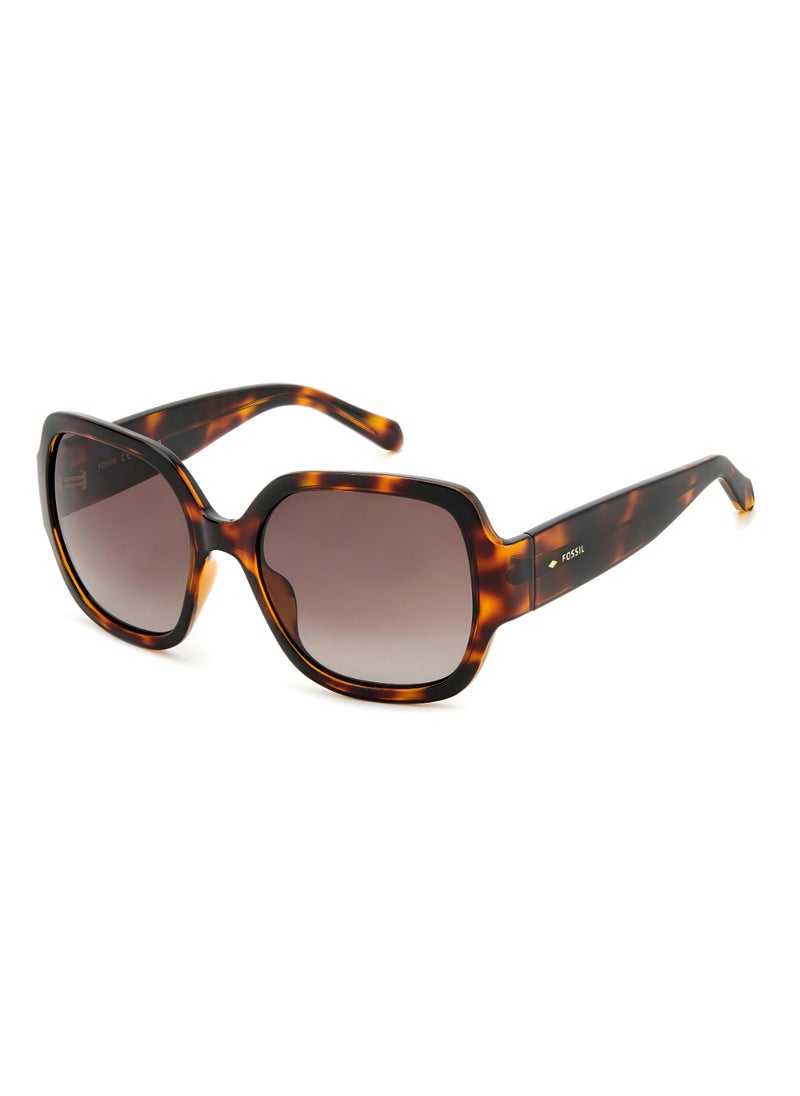 FOSSIL FOSSIL SQUARE Sunglasses  - Image 1