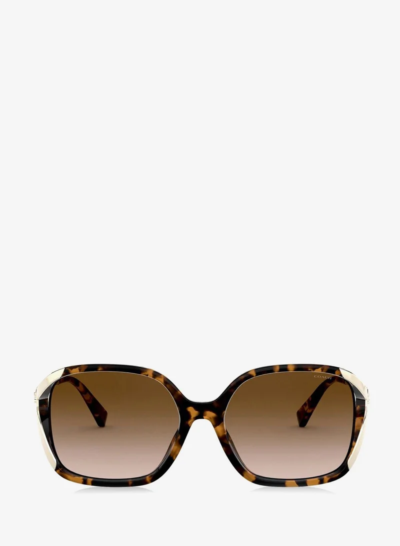 Coach 0HC8280U Oversized Sunglasses