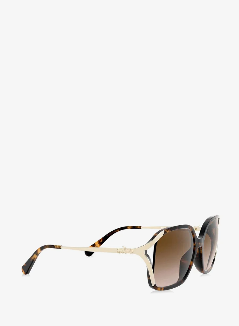 Coach  0HC8280U Oversized Sunglasses for Women | Best Price UAE