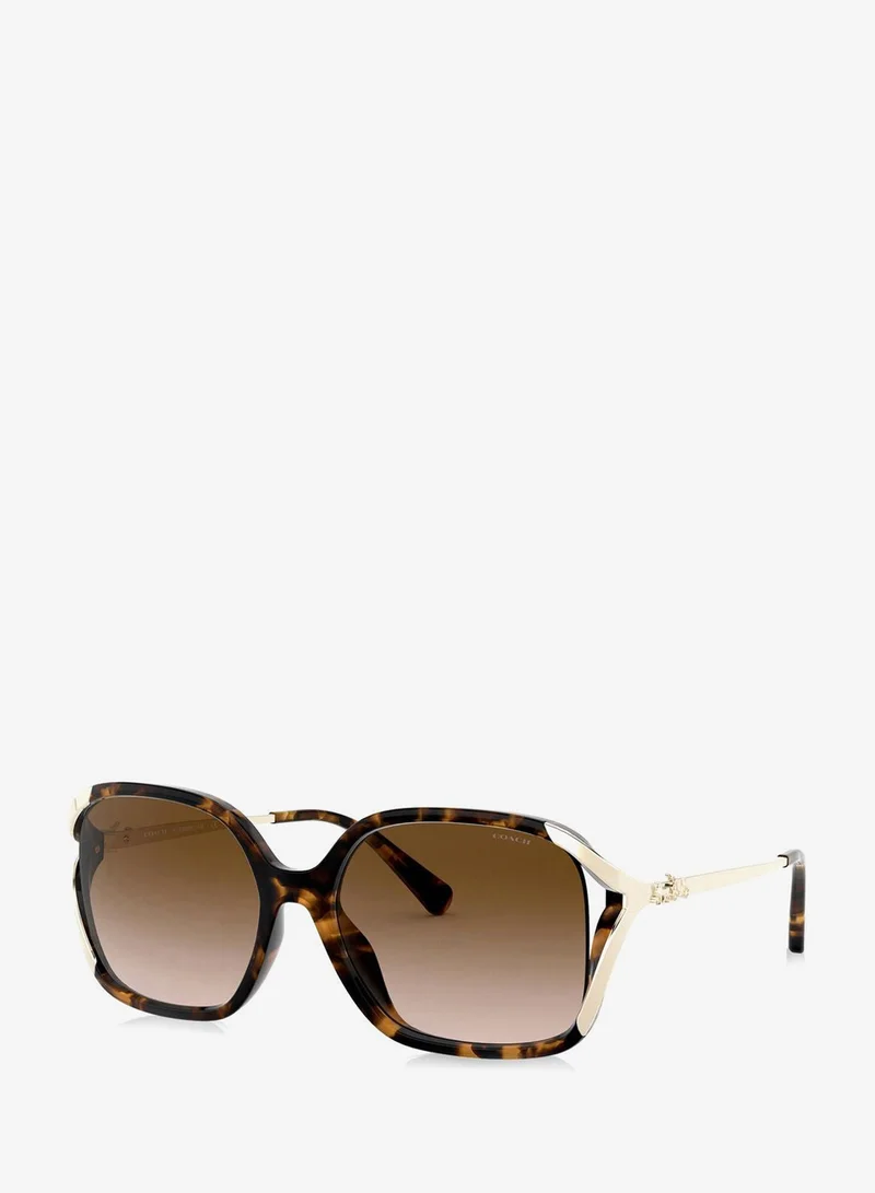 Coach 0HC8280U Oversized Sunglasses