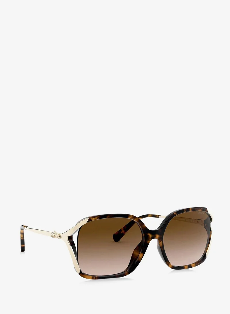 Coach  0HC8280U Oversized Sunglasses for Women | Best Price UAE