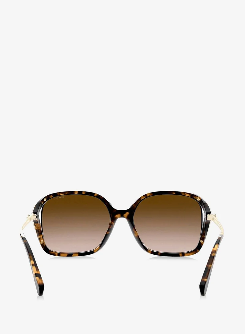 Coach  0HC8280U Oversized Sunglasses for Women | Best Price UAE