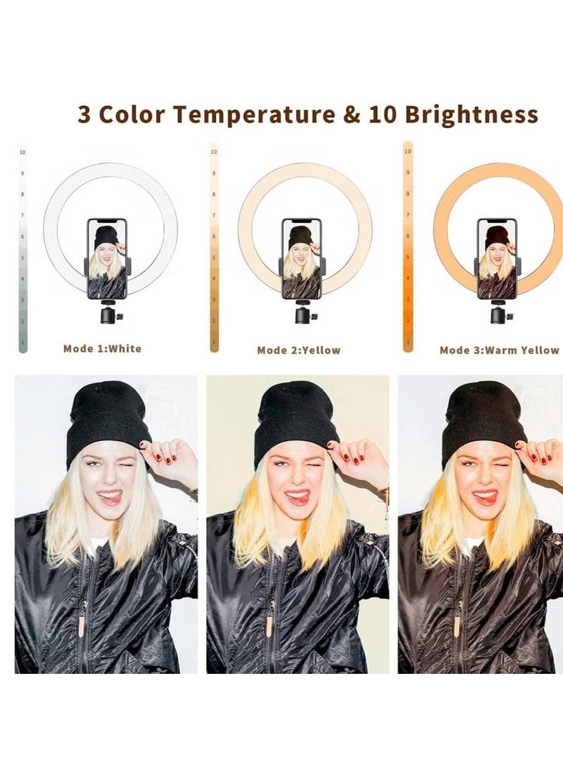Ring Light 25cm with Tripod Stand & Phone Holder for YouTube Video, Desktop Camera Led Ring Light for Streaming, Makeup, Selfie Photography Compatible with iPhone Android