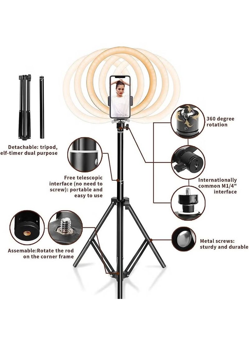 Ring Light 25cm with Tripod Stand & Phone Holder for YouTube Video, Desktop Camera Led Ring Light for Streaming, Makeup, Selfie Photography Compatible with iPhone Android
