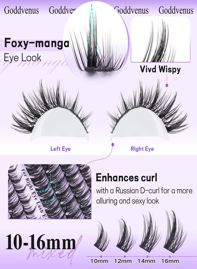 Goddvenus Manga Lash Cluster Kit Wispy Lashes Clusters Fluffy Eyelash Clusters Upturned Foxy Cluster Eyelash Extensions Kit D Curl Fairy Eyelash Extension Kit 10-16mm Individual Lashes Kit - Image 3