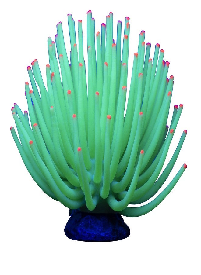 GloFish Anemone Ornament, Detailed Aquarium Ornament, Large Green, Creates A Glowing Effect (Pack of 6) - Image 5