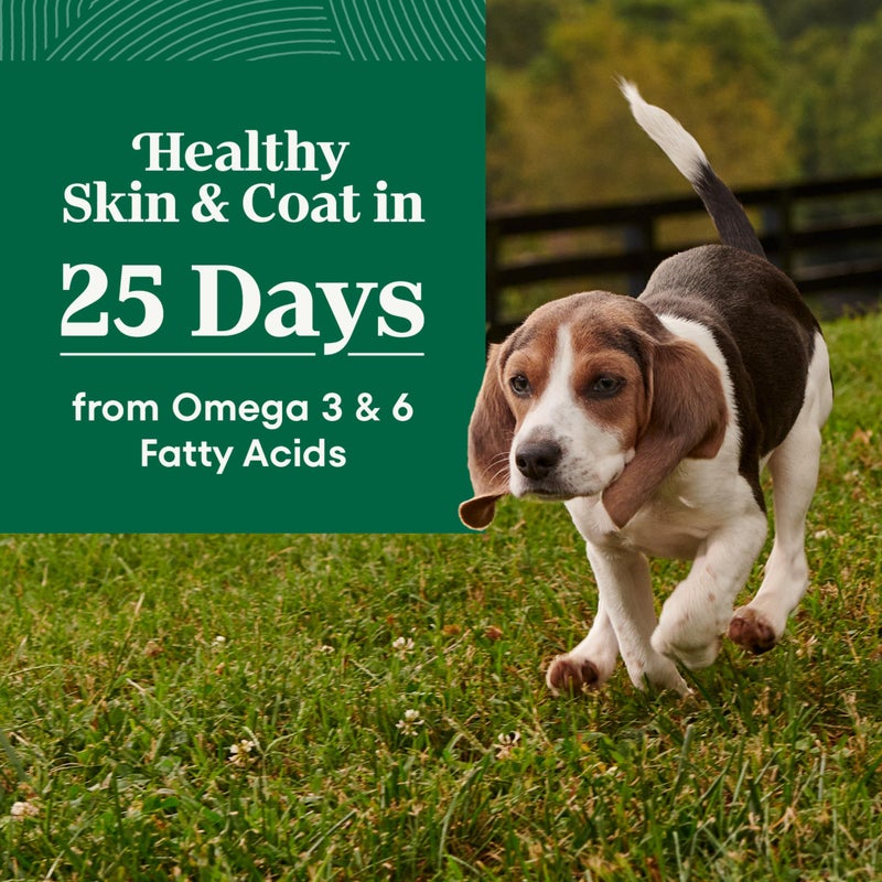 Nutro Natural Choice Puppy Food Dry, Chicken & Brown Rice Recipe, 5 lb. Bag - Image 3