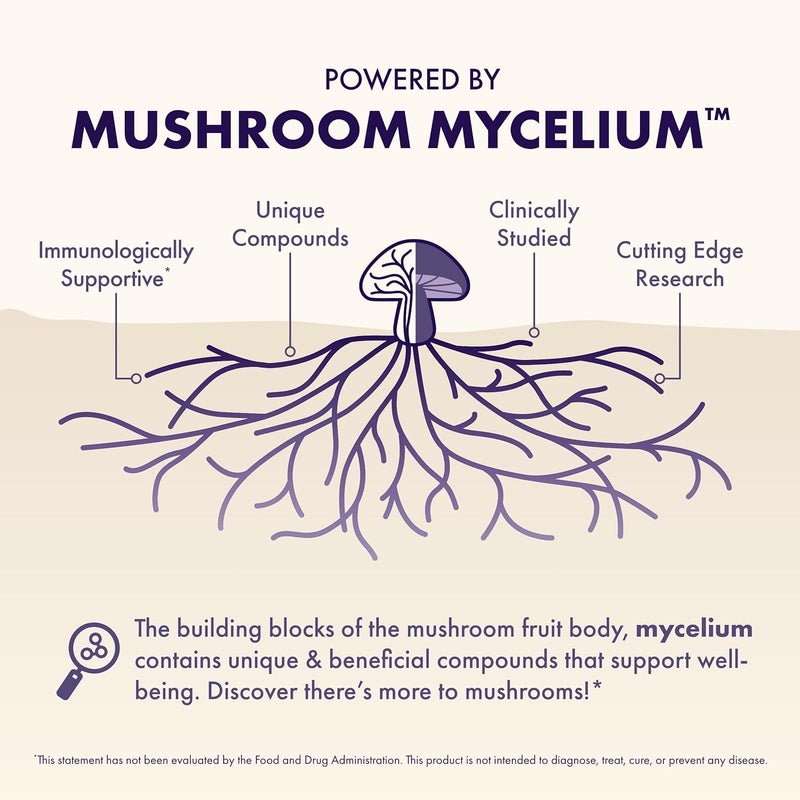 Host Defense MycoBenefits Focus Capsules  Mushroom Supplement for Brain Health Support  Neurological Function Aid for Adults  Includes Lions Mane Reishi  B Vitamins  60 Capsules 30 Servings - Image 3