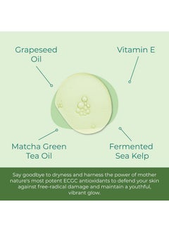 Sea-El Sea-El Matcha Face Oil Skincare - Hydrating Glow Green Tea & Sea Kelp Facial Oil Blend - Calming & Deeply Penetrating Antioxidant-Rich Moisturizer for Women & Men, Vegan, All Skin Types - 1 Fl Oz  - Image 4
