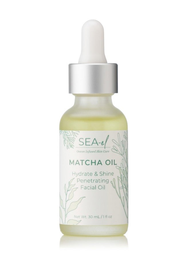 سي-إل زيت الوجه Sea-El Matcha للعناية بالبشرة - مزيج زيت الوجه المرطب من الشاي الأخضر وعشب البحر - مرطب غني بمضادات الأكسدة ومهدئ وعميق التغلغل للنساء والرجال، نباتي، لجميع أنواع البشرة - 1 أونصة سائلة  - Image 1