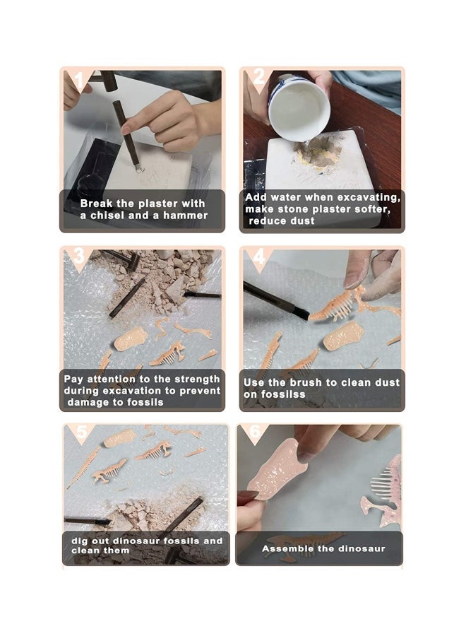 NIBEMINENT Tyrannosaurus Rex Dinosaur Archaeological Fossil Toy - Image 3