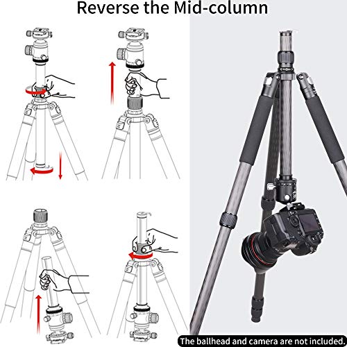 INNOREL RT85C Carbon Fiber Tripod Without Ballhead Super Professional Tripod Monopod Heavy Duty Stand Support for Digital DSLR Camera Black - Image 5