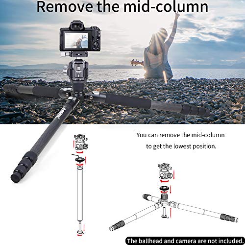 INNOREL RT85C Carbon Fiber Tripod Without Ballhead Super Professional Tripod Monopod Heavy Duty Stand Support for Digital DSLR Camera Black - Image 4
