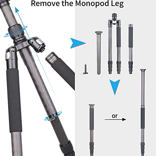 INNOREL RT85C Carbon Fiber Tripod Without Ballhead Super Professional Tripod Monopod Heavy Duty Stand Support for Digital DSLR Camera Black - Image 3
