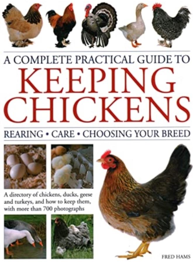 Keeping Chickens, Complete Practical Guide to : Rearing; Care; Choosing Your Breed: A directory of chickens, ducks, geese and turkeys, and how to keep them, with over 700 photographs 