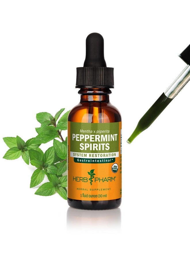 Herb Pharm, Peppermint Spirits Organic, 1 Fl Oz - Image 1