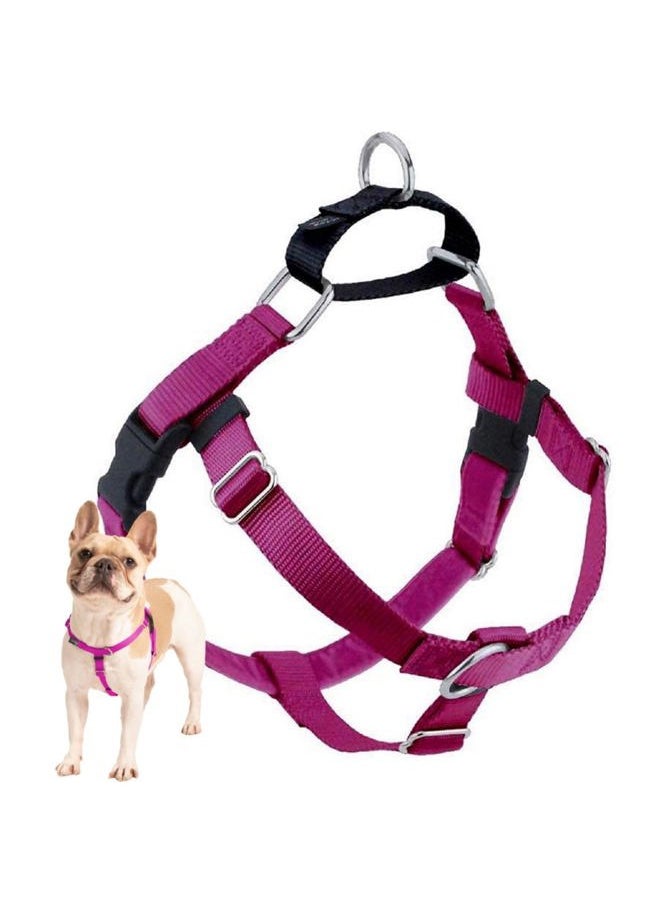 2 HOUNDS DESIGN Freedom No Pull Dog Harness, Adjustable Harness, Easy Walking & Comfortable Control, Fits Small, Medium & Large Dogs, Solid Colors, Made in USA, 5/8" SM, Raspberry  - Image 1
