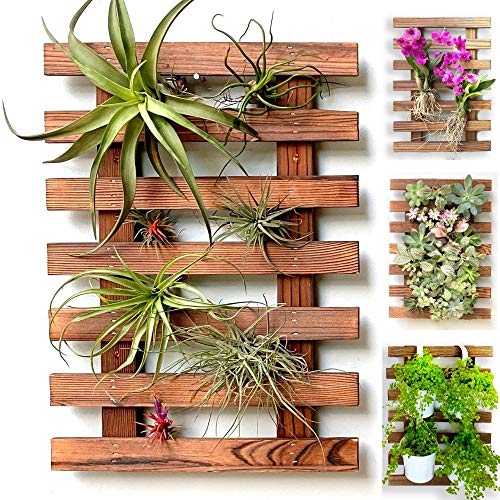 ShopLaLa Wall Planter – Wooden Air Plant Succulent Holder Hanger Indoor Outdoor, Live Orchid Wall Wood Display Frame Vertical Garden Balcony Deck Bathroom Macetas para Plantas De Aire 15.7" (40cm) - Image 1