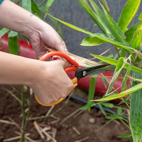Ugaoo Straight Blade Cutter- D Handle (Garden Scissors) | Garden Plants Leaf & Flower Cutting Trimming Scissor - Image 5