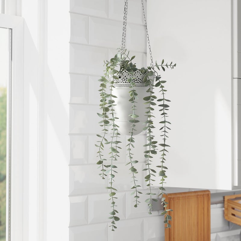 FEJKA Artificial Hanging Eucalyptus Plant, Green, 9 cm Pot - Image 5