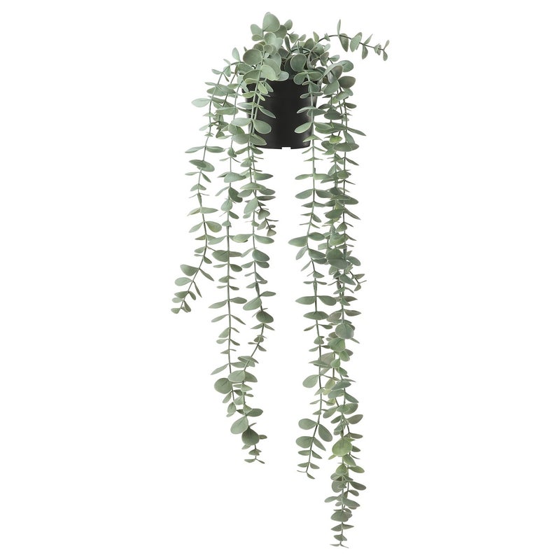FEJKA Artificial Hanging Eucalyptus Plant, Green, 9 cm Pot - Image 1