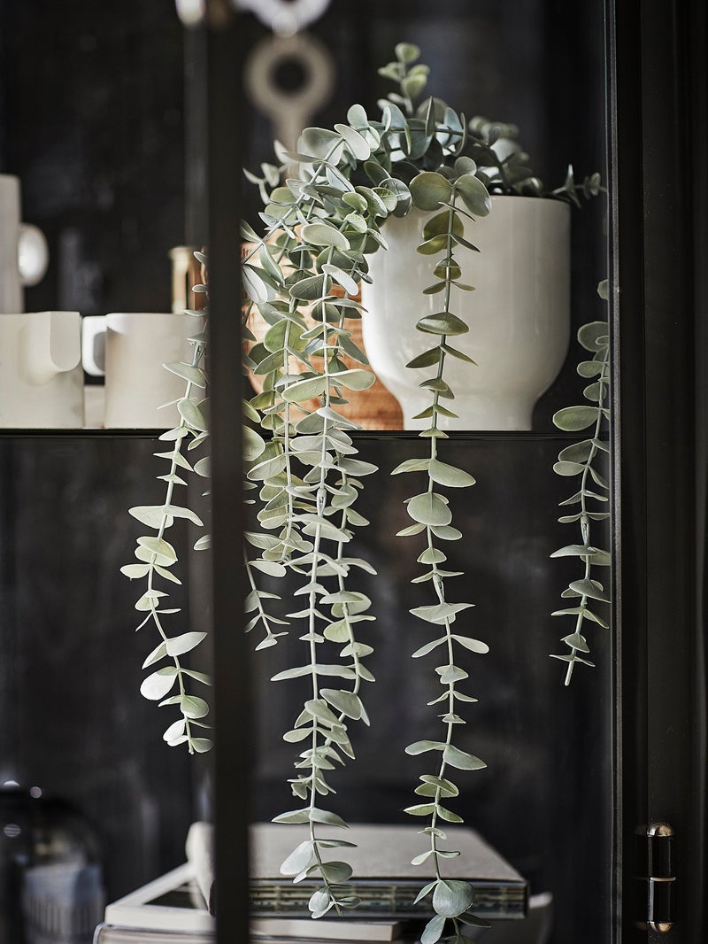 FEJKA Artificial Hanging Eucalyptus Plant, Green, 9 cm Pot - Image 3
