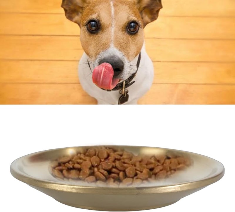 Gold Stainless Steel Shallow Wide Pet Food Bowl for Cats and Small Dogs - Image 3