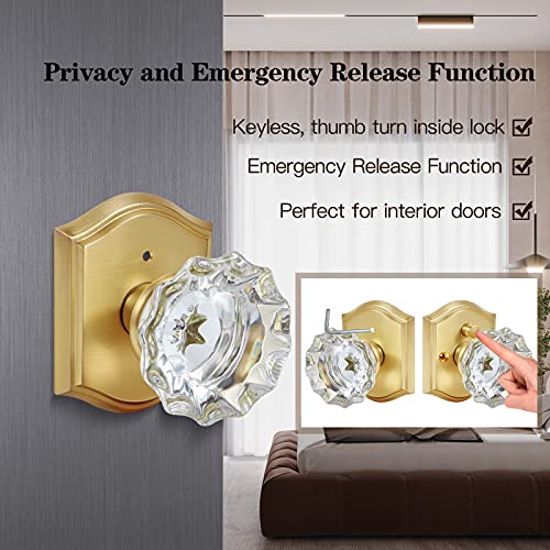 CLCTK Premium Glass Door Knobs, Bathroom Bedroom Door Knobs with Lock, Privacy Gold Door Knob Interior, Satin Brass - Image 3