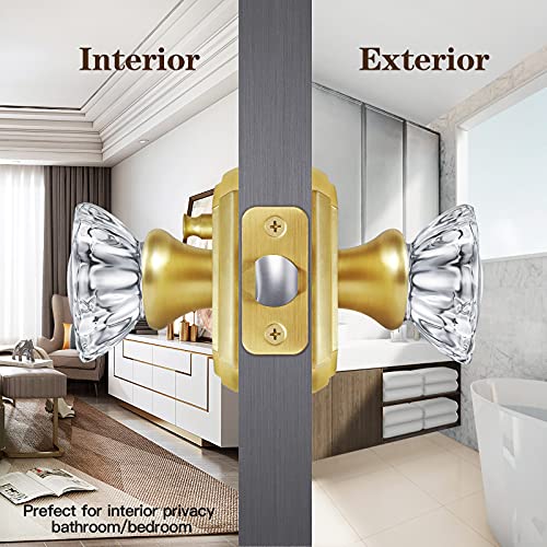 CLCTK Premium Glass Door Knobs, Bathroom Bedroom Door Knobs with Lock, Privacy Gold Door Knob Interior, Satin Brass - Image 4