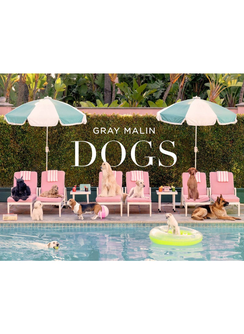 Gray Malin: Dogs - pzsku/ZE9EC4345DCD9BE0ED716Z/45/_/1734525966/847cce87-c390-47fd-9747-cba633c49920