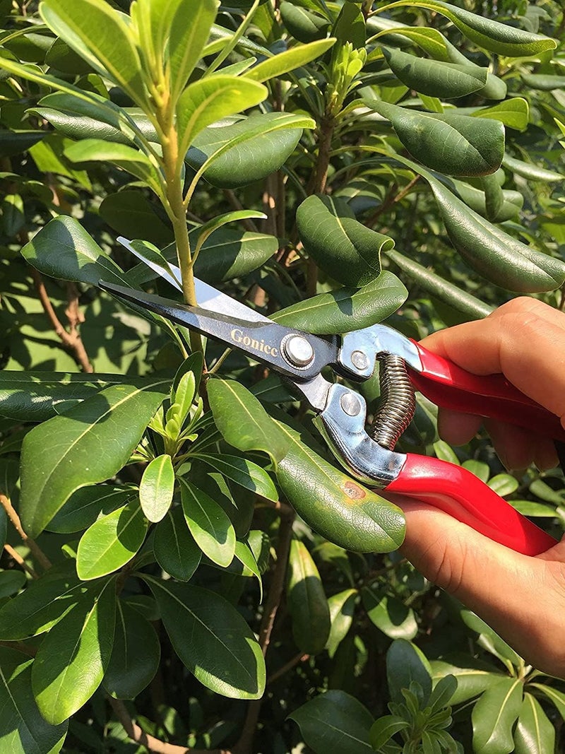 gonicc Professional Micro-Tip Pruning Snip (GPPS-1008), Small Garden Hand Pruner & shears For Arranging Flowers, Trimming Plants & Hydroponic Herbs, And Harvesting Fruits & Vegetables. - Image 4