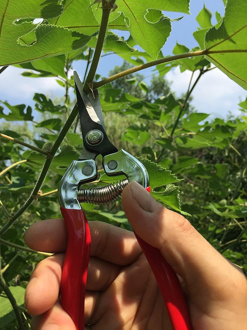 gonicc Professional Micro-Tip Pruning Snip (GPPS-1008), Small Garden Hand Pruner & shears For Arranging Flowers, Trimming Plants & Hydroponic Herbs, And Harvesting Fruits & Vegetables. - Image 5
