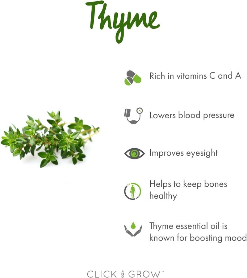 كليك آند جرو بذور الزعتر - Image 3