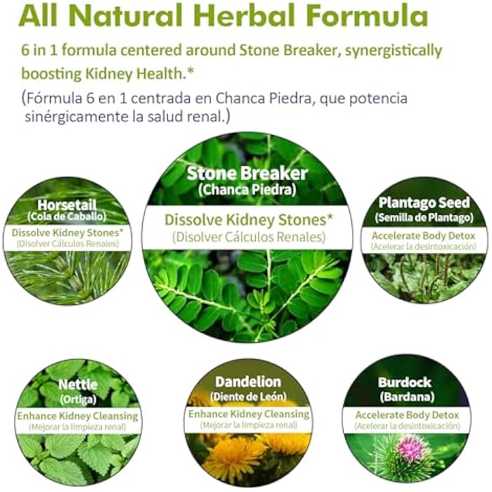 Nurbetoxa مستخلص قطرات حجر تشانكا بييدرا لتفتيت حصوات الكلى، تطهير الكلى، مكمل إصلاح مع ذيل الحصان والهندباء. تشانكا بييدرا للكلى. 2 أونصة - Image 4