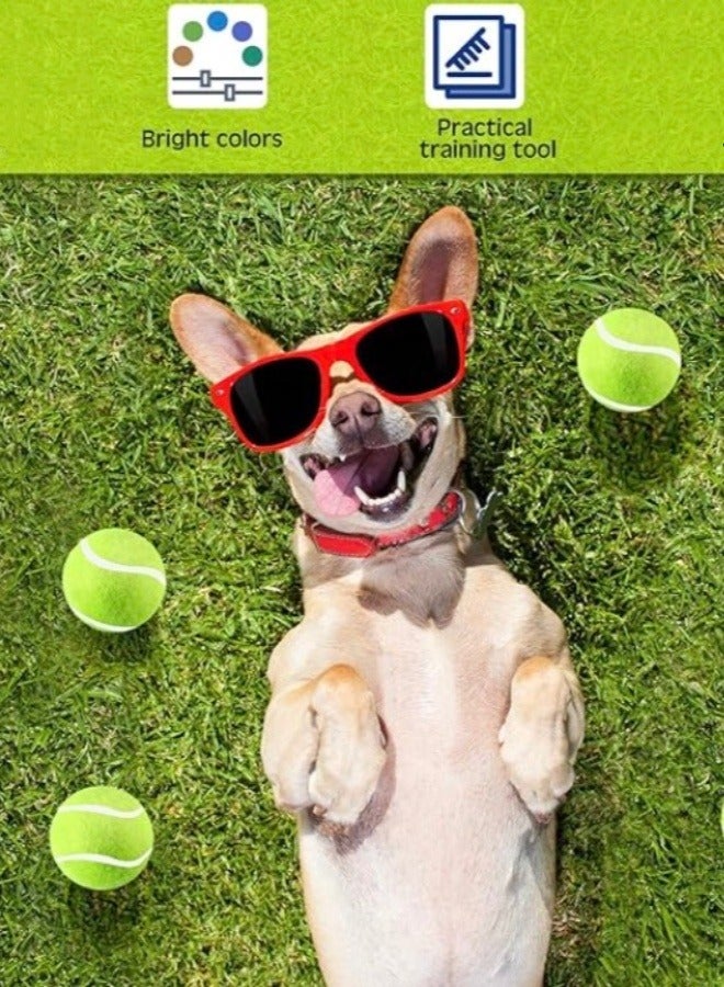 Generic Dog Tennis Balls 6cm Tennis Balls for Small Dog Pet Tennis Balls Fetching Toy Rubber Felt Training Balls for Puppy Dogs Playing Exercise and Practice(color random)  - Image 5