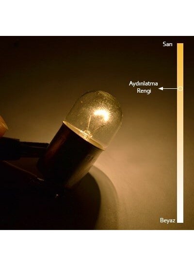 10 Pieces 12V 10W 67 Bulb R10W - pzsku/ZE9F3905251180E18757FZ/45/_/1737324962/65e5e293-977d-4cd1-9106-443742676a54